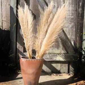 Pampas grass (3 ct) 36 inches